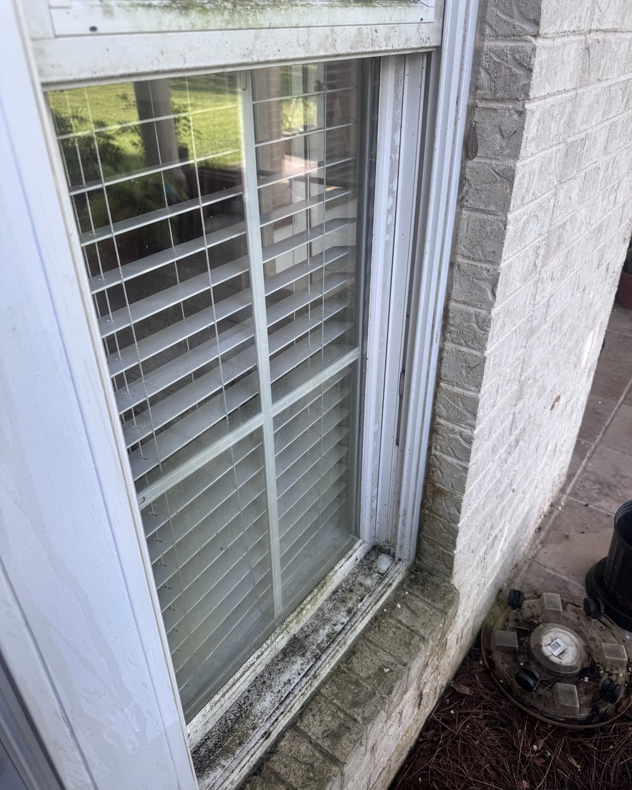 A brick-home window with mildew and dirty frame before cleaning.
