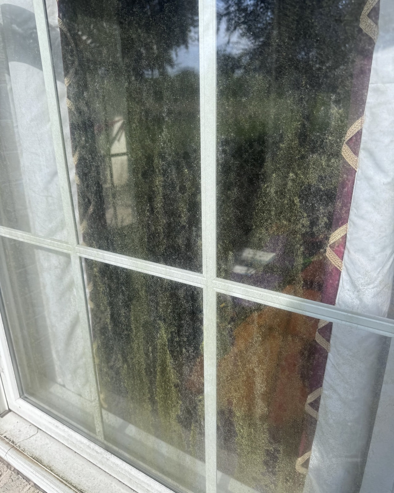 A residential window with buildup before Palmetto Panes service.